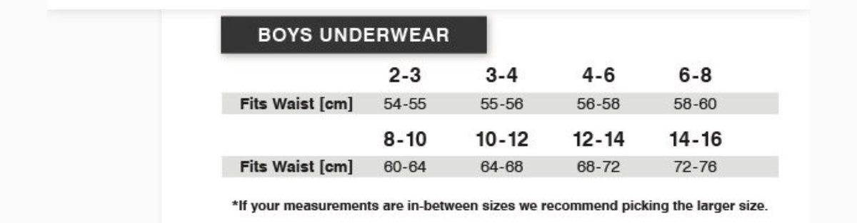 Tradie Boys 4PK Brief Undies