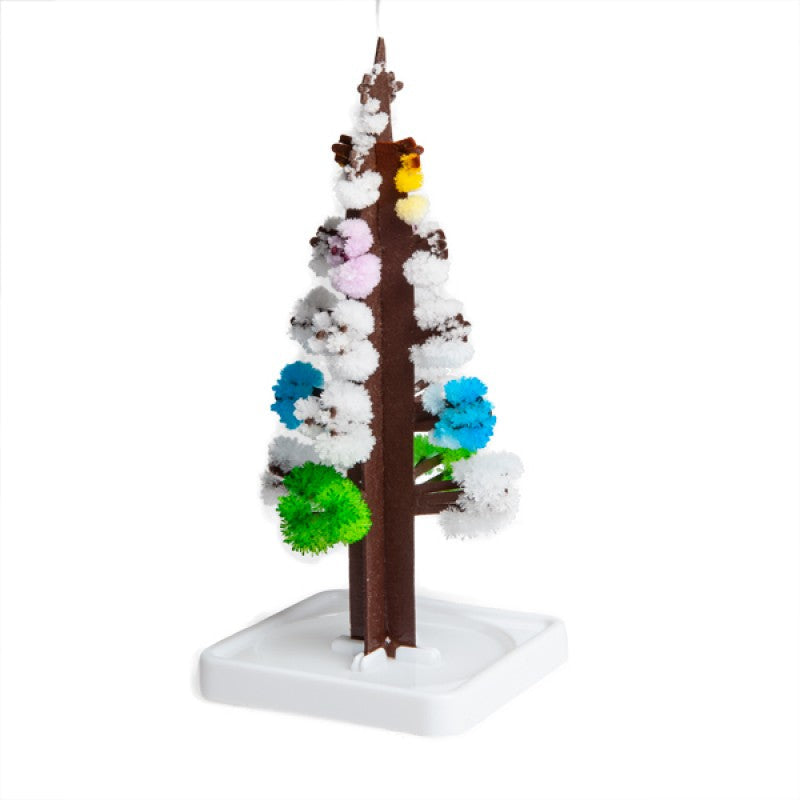 Grow Magic Rainbow Tree ON SALE