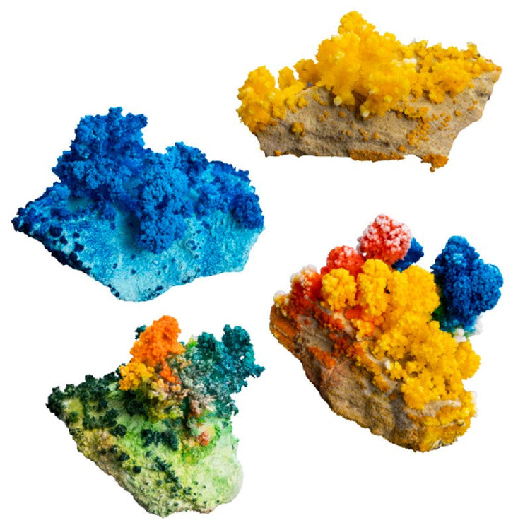 Magic Crystal Garden SALE