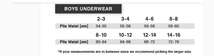 Tradie Boys 3PK Fitted Trunk Underwear SALE